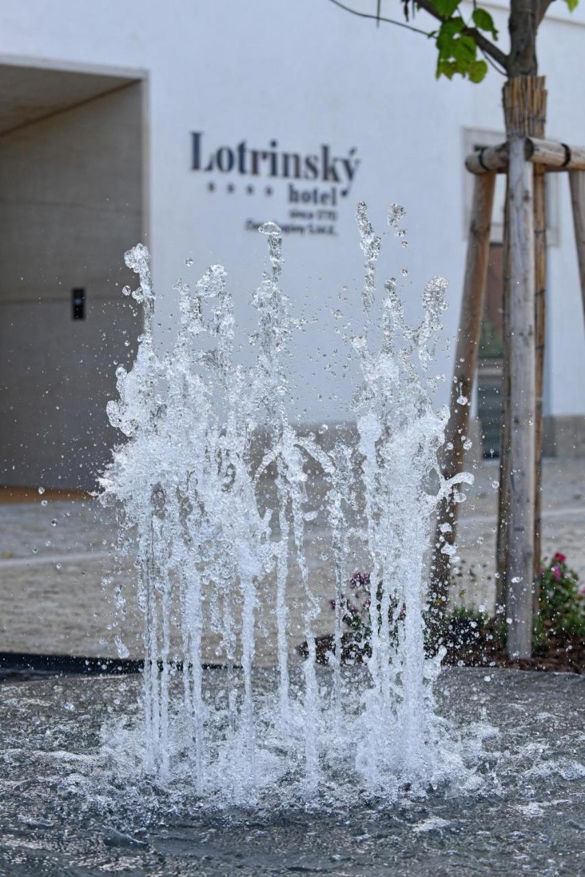 Lotrinsky Hotel Velke Pavlovice Luaran gambar